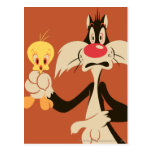 Sylvester met Tweety briefkaarten