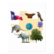 Symboles d'état du Texas Carte Postale