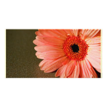 symétrie cartes avec photo