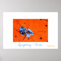 Symphony - Three Posters