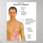 Symptômes principaux de diagramme de peste buboniq
