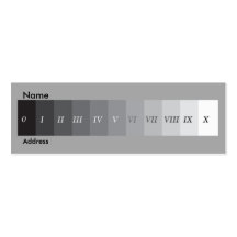 Système de zone cartes de visite professionnelles
