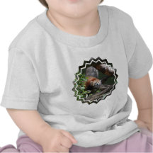T-shirt de bébé d'ours panda de sommeil