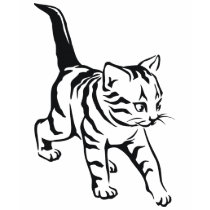 T-shirt mignon de chat