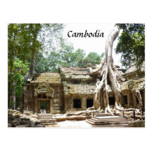 Ta prohm boom wens kaarten