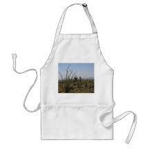 Tablier de désert de l'Arizona