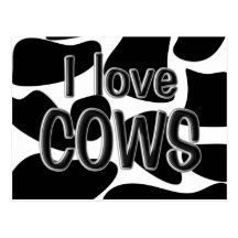 Taches de vache carte postale