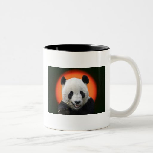 TAI SHAN BEKERS