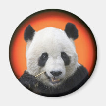 TAI SHAN KOELKAST MAGNEETJES