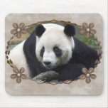 TAI SHAN MUISMATTEN
