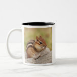 tamia enceinte tasse