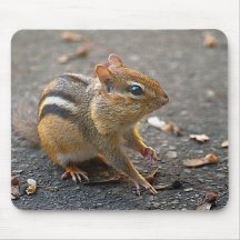 Tamia Mousepad Tapis De Souris