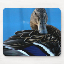Tapis de souris de canard