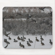 Tapis de souris de canards