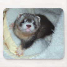 Tapis de souris de furet