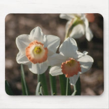 Tapis de souris de photo de jonquille