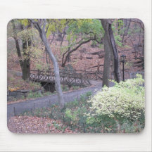 Tapis de souris de pont de Central Park