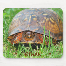 Tapis de souris de tortue de boîte