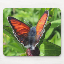 Tapis de souris " Papillon cuivré"