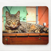 Tapis souris chat tigré sur une table de jardin tapis de souris