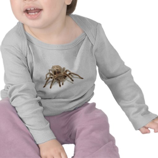Tarentule T-shirt