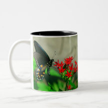 Tasse 2 de papillon de machaon de Pipevine