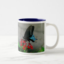 Tasse 3 de papillon de machaon de Pipevine