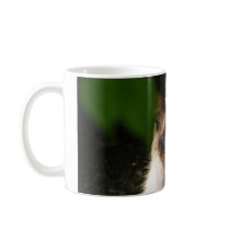 Tasse avec le beau chat