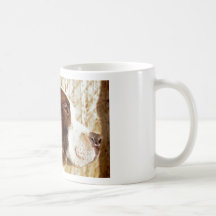 Tasse de bull-terrier du Staffordshire