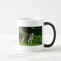 Tasse de bull-terrier du Staffordshire