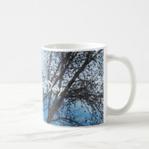 Tasse de café