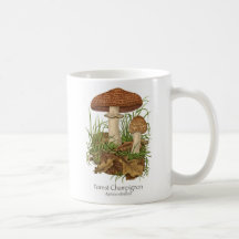 Tasse de café de champignon de champignon de paris