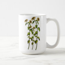 Tasse de café toscane de tournesol