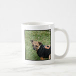 Tasse de chiwawa