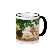 Tasse de chooks sous l'arbre orange…
