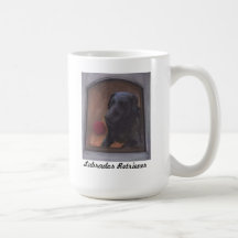 Tasse de laboratoire