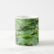 Tasse de Lillypad
