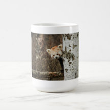Tasse de panda rouge