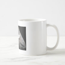Tasse de papillon