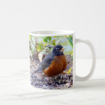 Tasse de Robin