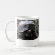 tasse de tortue de boîte