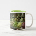 Tasse délicieuse de gelato