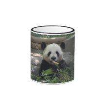 Tasse d'ours panda