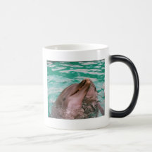 Tasse morphing de Dolphings