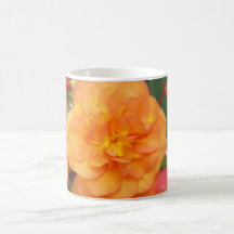 Tasse orange de pivoine