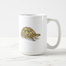 Tasse orientale de tortue de boîte