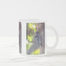 Tasse - pivert