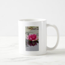 Tasse rose de photographie de nénuphar