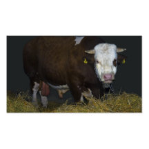taureau modèle de carte de visite