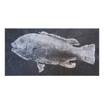 Tautog Fotokaart Sjabloon